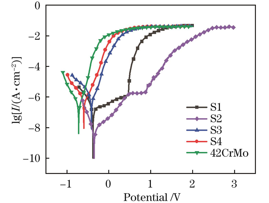 涂层及基材的动电位极化曲线