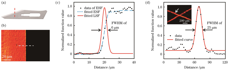 光声显微系统的分辨率测试结果。(a)手术刀片实物图;(b)手术刀片光声图;(c)系统横向分辨率函数拟合图;(d)系统轴向分辨率拟合图,插图为碳纤维丝光声图