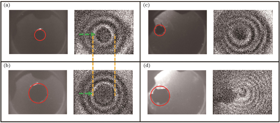 穿孔薄膜的一阶振动模态图。(a)中心穿孔3 mm薄膜;(b)中心穿孔5 mm薄膜;(c)偏心穿孔3 mm薄膜;(d)偏心穿孔5 mm薄膜