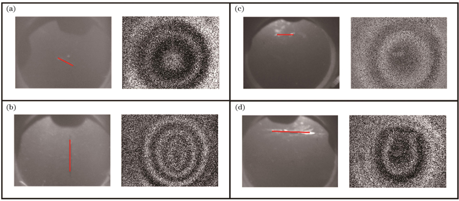 划伤薄膜的一阶振动模态图。(a)中心3 mm划伤薄膜;(b)中心6 mm划伤薄膜;(c)偏心3 mm划伤薄膜;(d)偏心6 mm划伤薄膜
