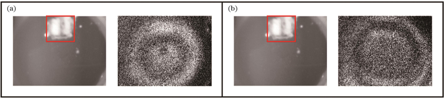 钙化薄膜的一阶振动模态图。(a)钙化厚度为0.1 mm的薄膜;(b)钙化厚度为0.3 mm的薄膜
