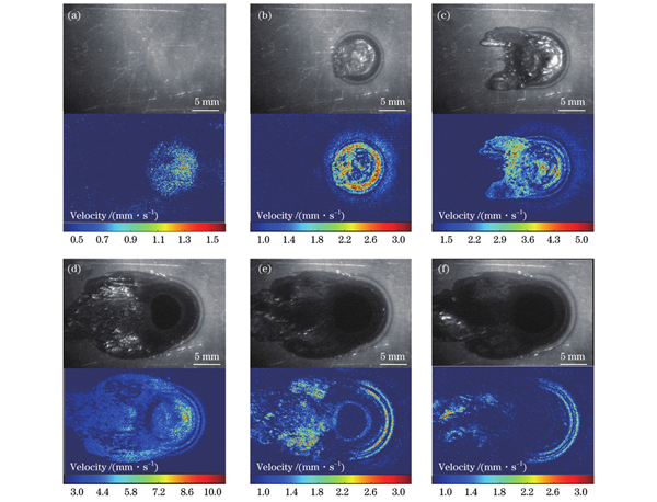 钛合金在激光辐照与超声速切向气流条件下的动态烧蚀形貌(每幅图中的上图为原位观测结果,下图为光流法处理结果)。(a)0.4 s;(b)0.8 s;(c)1.2 s;(d)1.6 s;(e)2.0 s;(f)2.4 s