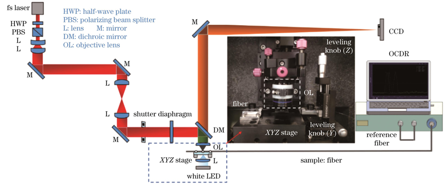 OCDR系统在线监测的飞秒激光光纤微加工实验装置图
