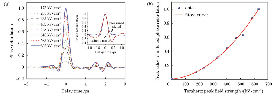归一化强太赫兹脉冲诱导的非线性光学响应。(a)抽运太赫兹脉冲在不同峰值场强下诱导的相位延迟随时间的演化,插图为632 kV/cm场强下测得的信号与太赫兹时域脉冲的对比;(b)诱导的相位延迟的峰值与太赫兹峰值场强的依赖关系及拟合曲线
