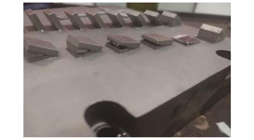 实验中打印的试样