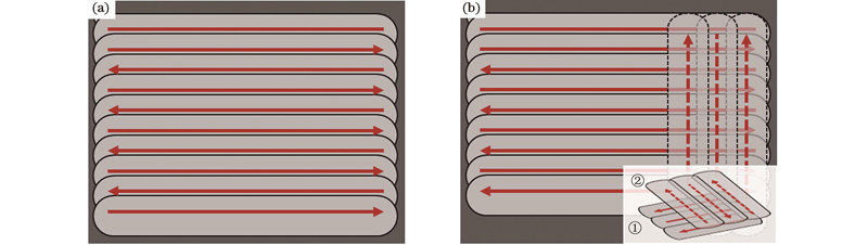 扫描策略。(a)单向扫描;(b)正交扫描