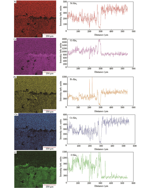 样品表面上的各元素分布