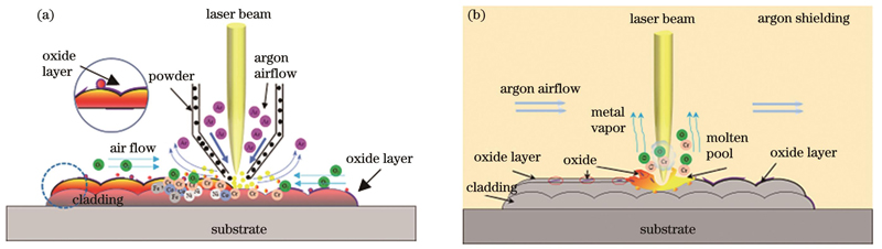 样品表面氧化层形成和去除示意图。(a)氧化层形成示意图;(b)氧化层去除示意图