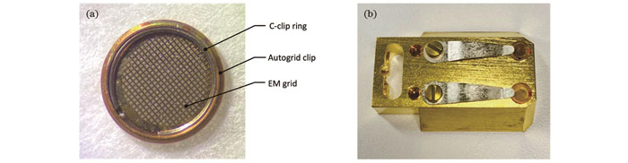 Autogrid及样品托。(a)装载在Autogrid中的电镜载网;(b)承载Autogrid样品的冷台样品托