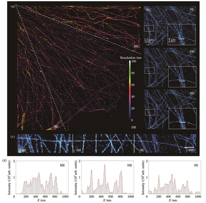 实验数据上的算法对比。(a)不同算法获得的超分辨图像的rFRC图;(b)~(c)局部放大视图;(d)图4(b)中白线标注部位横截面强度的对比