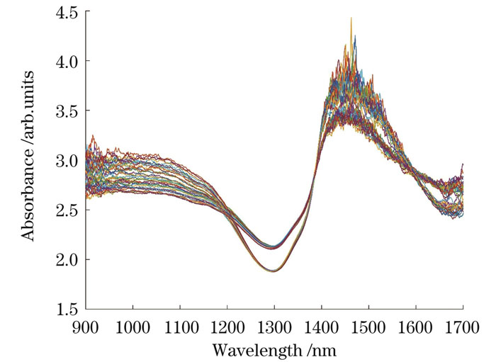 仿体溶液样本的原始光谱