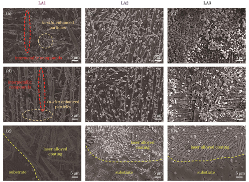 试样合金化层微观组织的SEM形貌图。(a)~(c)顶部;(d)~(f)中部;(g)~(i)底部