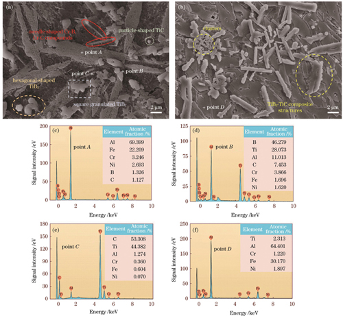 LA1试样合金化层的典型微观组织及成分分析。(a)(b)典型组织形貌;(c)~(f)EDS分析结果