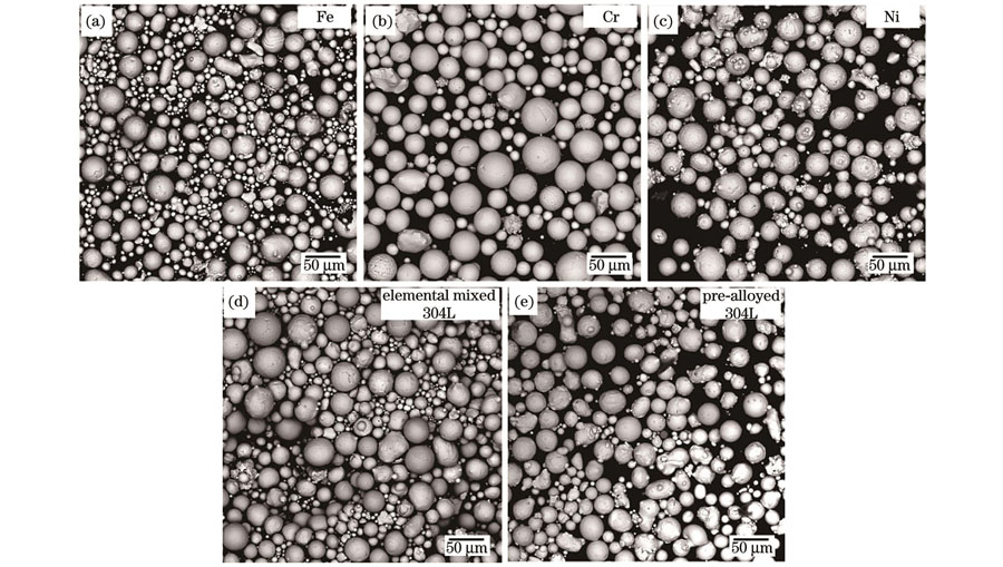 304L不锈钢的激光粉末床熔融原位合金化