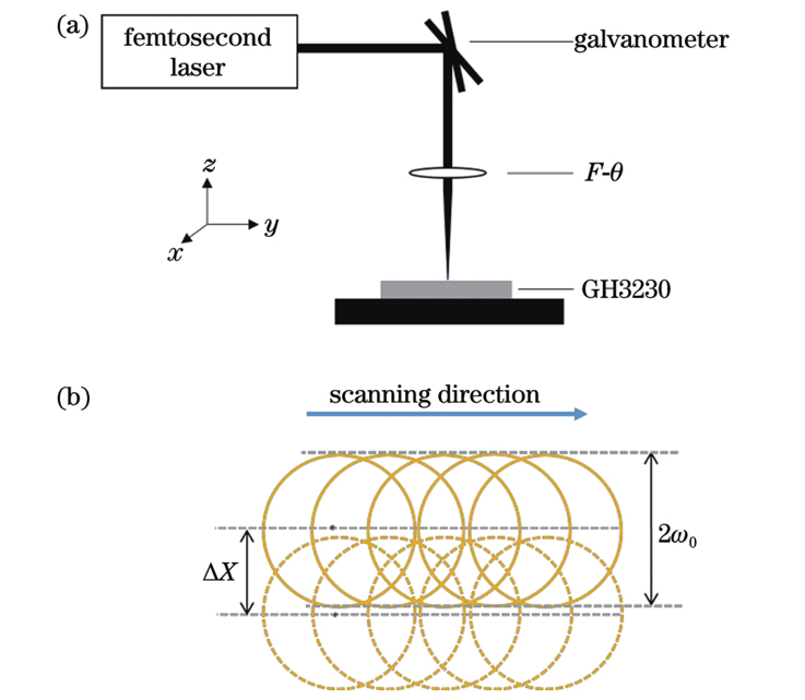 飞秒激光刻蚀示意图。(a)试验布置;(b)激光扫描路径