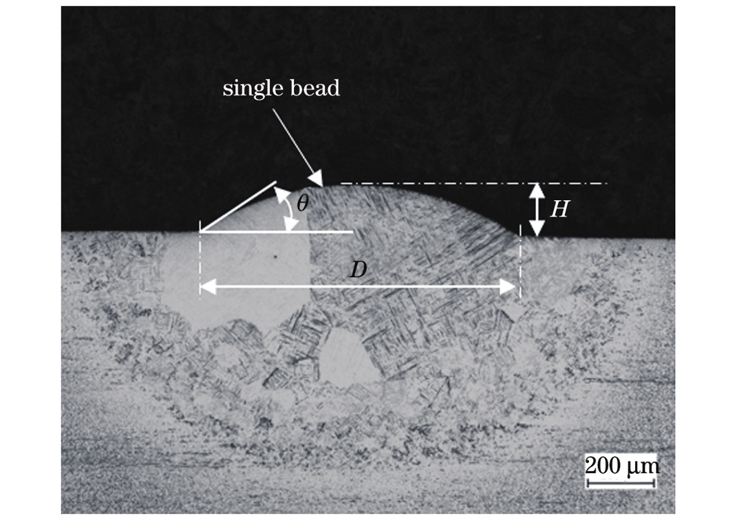 单道沉积层的几何特征