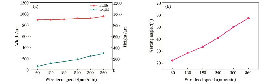 送丝速度对单道几何特征的影响。(a)宽度和高度;(b)润湿角
