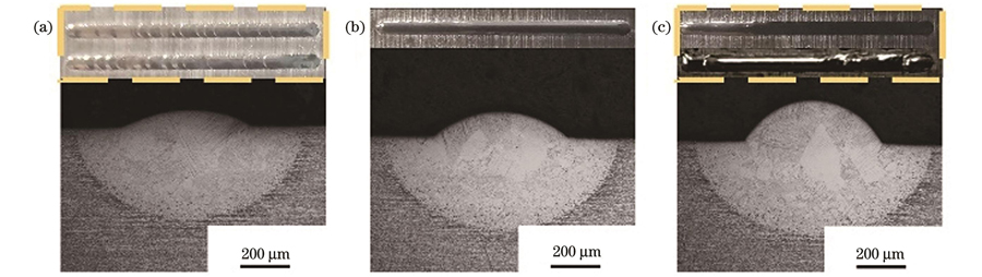 不同送丝速度下的成形形貌和截面。(a)Vf=60 mm/min;(b)Vf=240 mm/min;(c)Vf=360 mm/min
