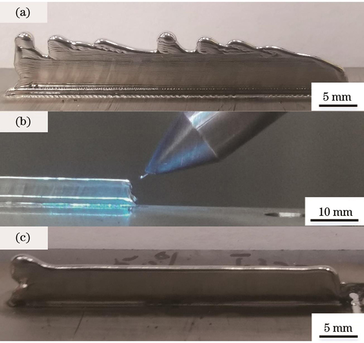 缺陷对薄壁成形的影响。(a)层间增量过大;(b)丝材球化;(c)沉积起点突起
