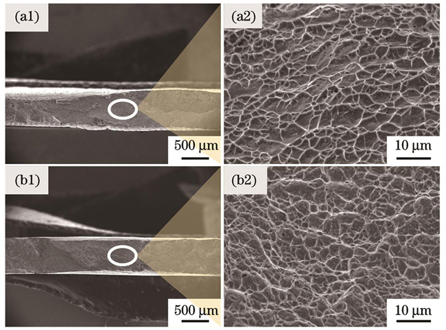 断口的宏微观形貌。(a1)(a2)移动方向;(b1)(b2)沉积方向