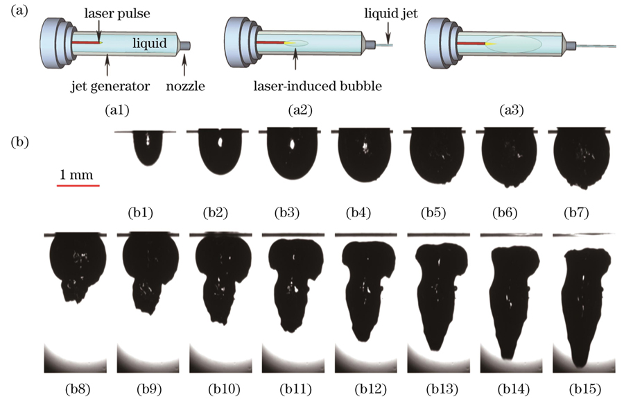 微射流机理以及空化气泡的脉动过程。(a)激光诱导液体微射流系统的基本工作原理;(b)10.6 μm CO2激光聚焦在水中产生的空化气泡的脉动过程
