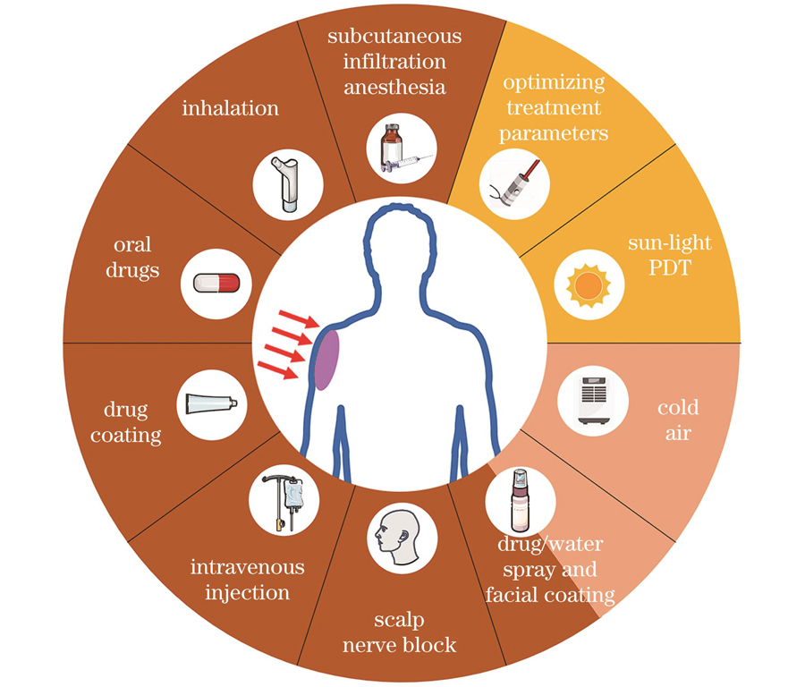 临床缓解PDT治疗过程中产生的疼痛的干预手段