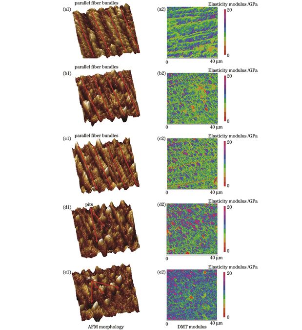 激光钻切与机械钻切骨孔周围骨组织的AFM形貌图和DMT模量图。(a1)(a2)原始骨组织;(b1)(b2)激光钻切骨孔附近Ⅰ区;(c1)(c2)激光钻切骨孔附近Ⅱ区;(d1)(d2)机械钻切骨孔附近Ⅰ区;(e1)(e2)机械钻切骨孔附近Ⅱ区