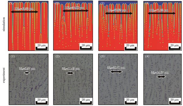 模拟与实验微观组织的枝晶间距对比
