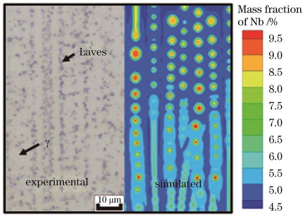 实验结果与溶质场模拟结果对比