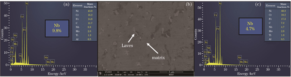 SEM和EDS分析结果。(a)Laves相的EDS分析结果;(b)SEM图;(c)基体的EDS分析结果