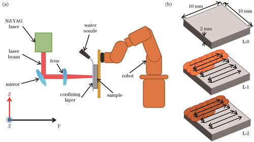 LPwC实验示意图。(a)实验装置;(b)实验方案