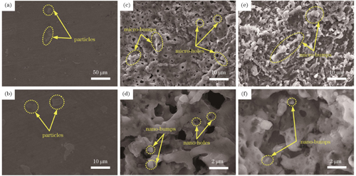 不同试样的表面形貌。(a)(b) L-0;(c)(d) L-1;(e)(f) L-2