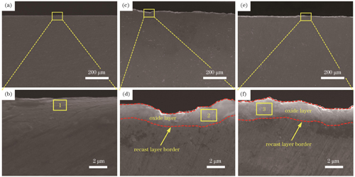 不同试样的截面形貌图。(a)(b) L-0;(c)(d) L-1;(e)(f) L-2