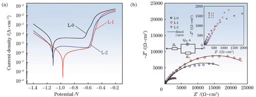 不同试样的电化学曲线。(a)动电位极化曲线;(b)Nyquist曲线