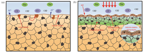 耐腐蚀机理示意图。(a)LPwC前;(b)LPwC后