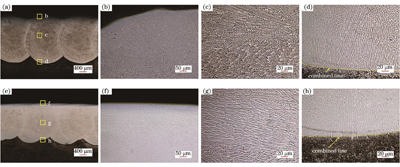 原位重熔前后熔覆层的显微组织。(a)~(d)原位重熔前;(e)~(h)原位重熔后