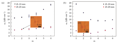 不同修饰线写入方式、R和m下波导的弯曲损耗。(a)两侧对称写入;(b)外凸侧写入;(c),(d)按两侧对称写入和外凸侧写入方式写入两层修饰线时弯曲波导横截面的光学显微镜图像