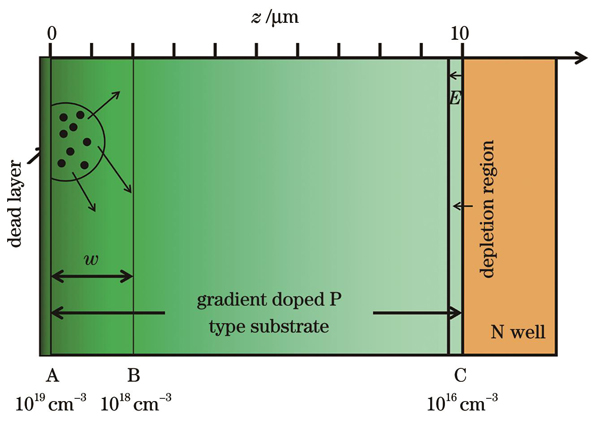 梯度掺杂结构模型