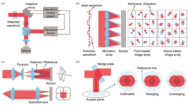 自适应光学在超分辨荧光显微镜中的应用