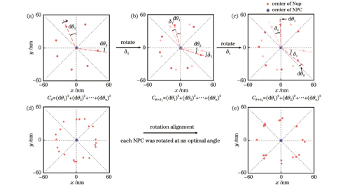 NPC的重构。(a)~(c)含有7个Nup的NPC以构建的标准方位旋转的示意图:(a)初始状态;(b)从初始状态开始以NPC质心为圆心顺时针旋转δ1;(c)从初始状态开始以NPC质心为圆心顺时针旋转δi。(d)筛选出来的所有NPC的质心对齐。(e)旋转对齐后的八重对称结构