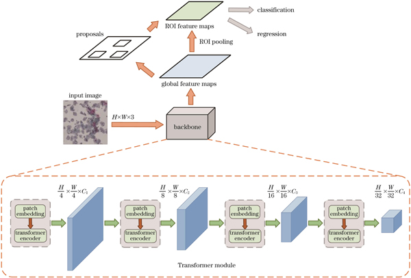 基于Transformer的宫颈异常细胞自动识别方法