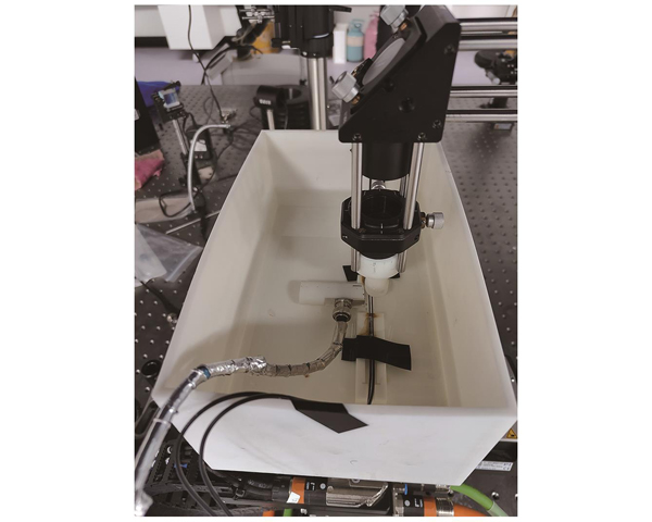 光声采集探测模块和样品池实物图