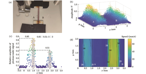 形态、速度光声协同测量结果。(a)成像区域实物图;(b)光声压力幅值三维散点图;(c)玻璃管横截面光声压力幅值二维散点图;(d)速度分布图
