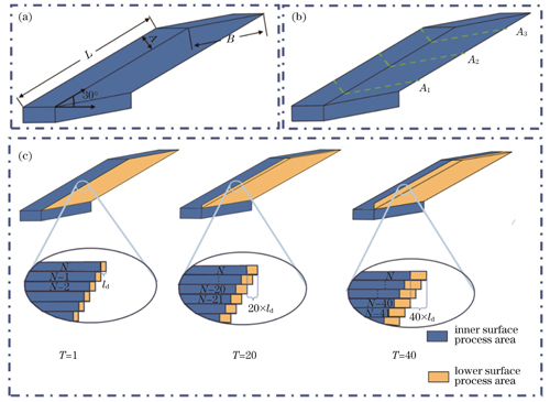 低角度成形样件模型、厚度测试点以及下表面工艺区分区。(a)成形模型;(b)厚度测试点;(c)不同向下比较层数T下样件的内表面工艺区和下表面工艺区