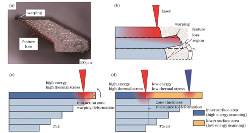 样件翘曲机理及向下比较层数的影响机理。(a)翘曲样件;(b)翘曲机理;(c)T=0时的激光作用机理;(d)T≥40时的激光作用机理