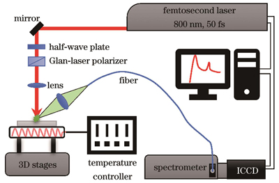 实验装置示意图