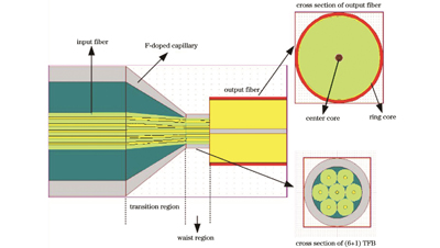 (6+1)×1信号合束器的结构及TFB和输出光纤的截面