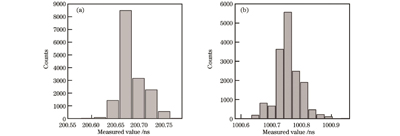信号测试结果统计图。(a)200 ns信号测试结果;(b)1000 ns信号测试结果