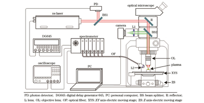 显微LIBS系统设置图