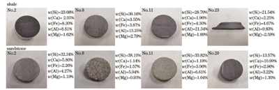 页岩与砂岩代表性样本照片